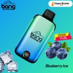 Bang Disposable Vape Blueberry Ice 20000 Puffs