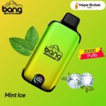 Bang Disposable Vape Mint Ice 20000 Puffs