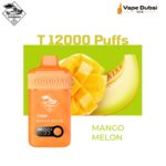 Tugboat T 12000 Puffs Mango Melon