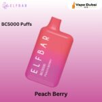 ELFBAR BC5000 Puffs Peach Berry