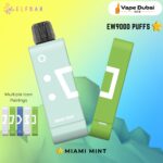 ElfBar EW9000 Puffs Miami Mint