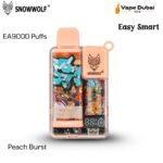 Snowwolf Easy Smart Peach Burst EA9000 Puffs