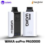 WAKA soPro PA10000